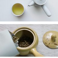 A Japanese side-handle kyusu teapot